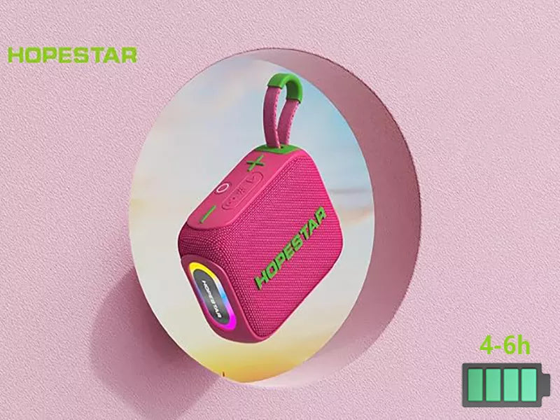 Parlante Hopestar H66