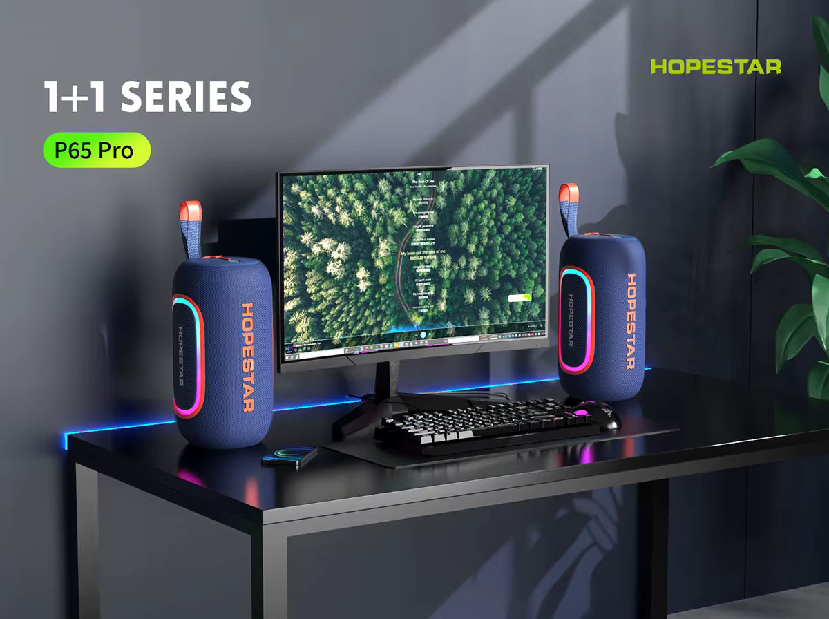 Parlante Hopestar P65 Pro