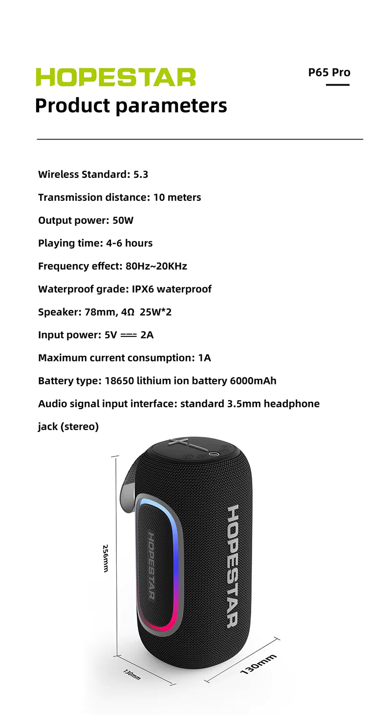Parlante Hopestar P65 Pro