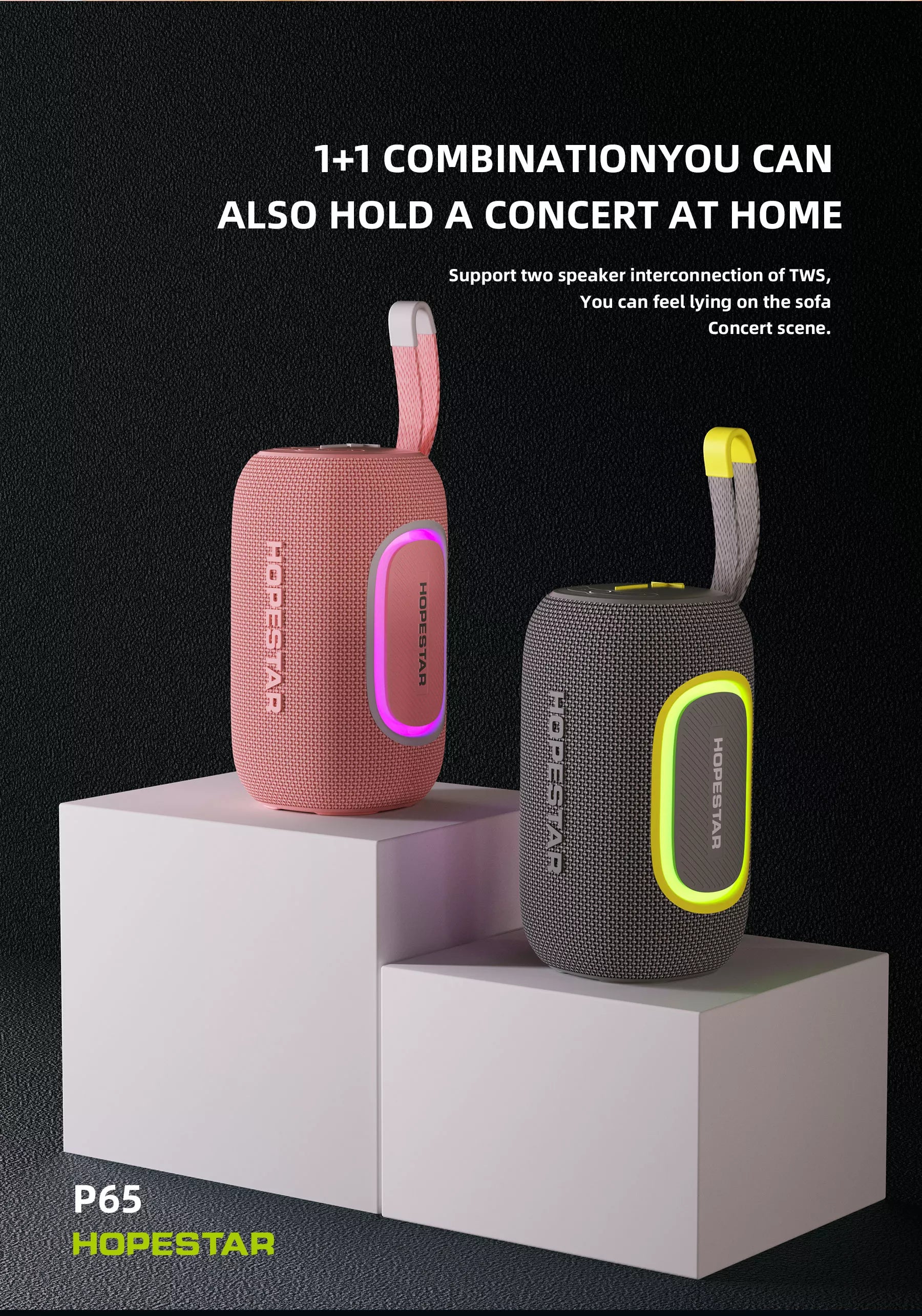Parlante Hopestar P65